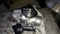20200324_114229.jpg